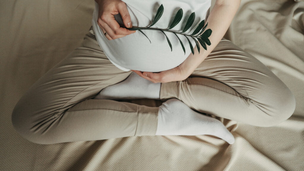 pregnant woman holds green sprout plant near her b 2022 11 08 00 51 13 utc